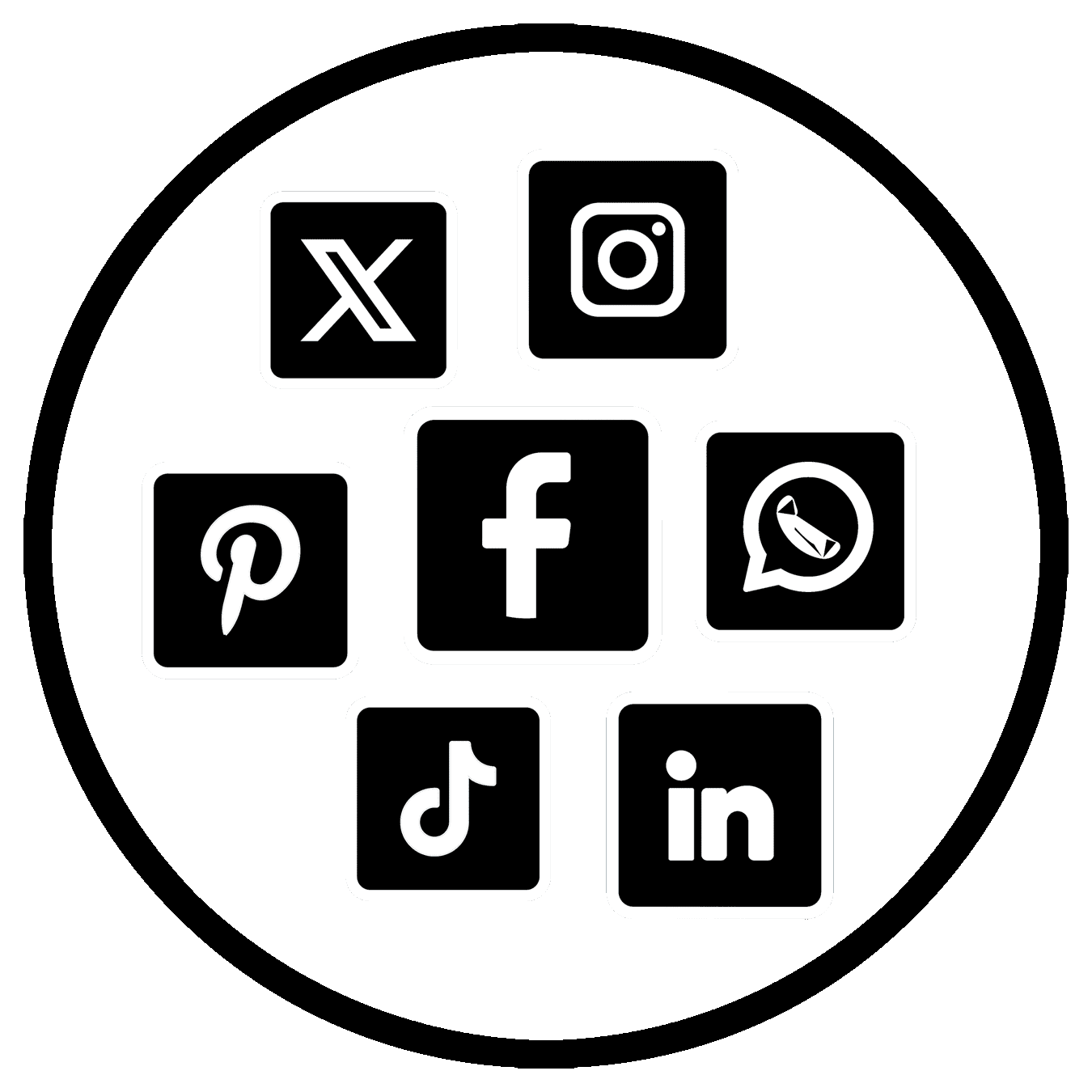 social media icon 2